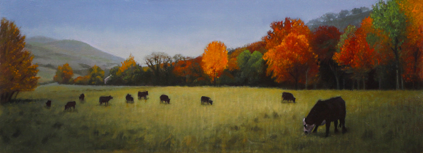 Fall Pasture