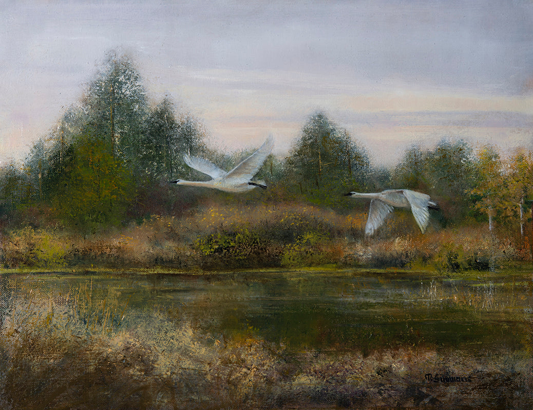 Tundra Swans, In Symmetry