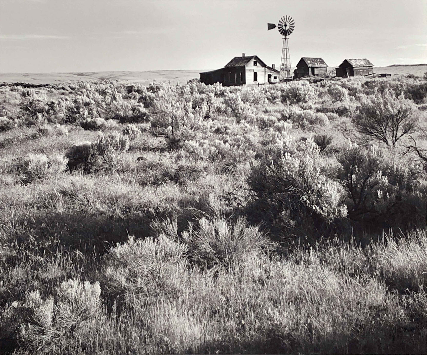 Abandoned Ranch, Oregon Outback 2011