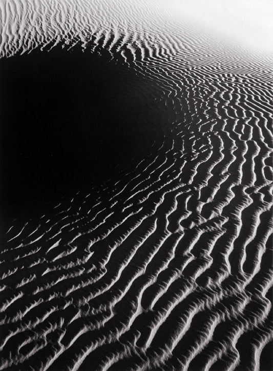 Dune Shadow, Death Valley 2005