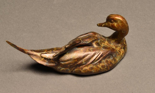 Pintail #6/open